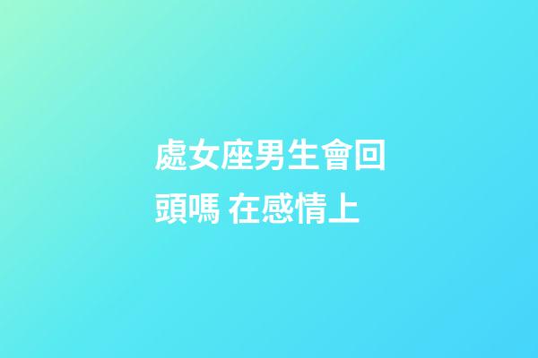 處女座男生會回頭嗎 在感情上-第1張-星座運勢-玄機派